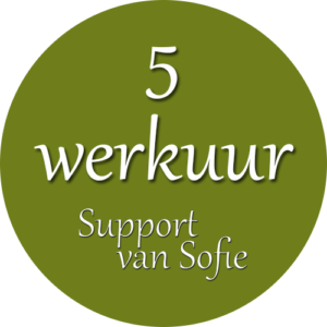 Werkuurpakket - 5 uur