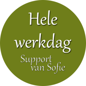 Hele werkdag